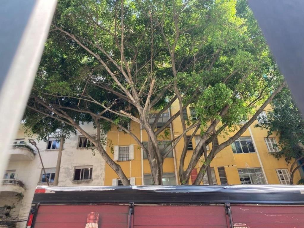 Alice Thomé Apartamento São Paulo